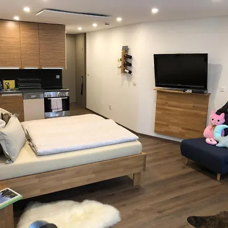 Alpapart - Innsbruck Apartmán Ellbögen