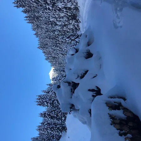 Alpapart - Innsbruck 公寓 艾伦伯根