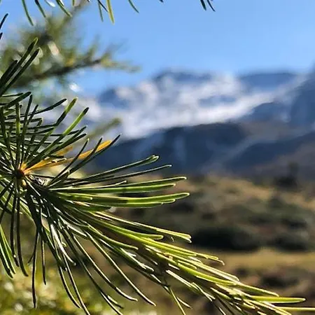 公寓 Alpapart - Innsbruck 艾伦伯根