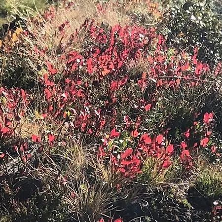 Apartamento Alpapart - Innsbruck *