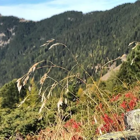 公寓 Alpapart - Innsbruck 艾伦伯根