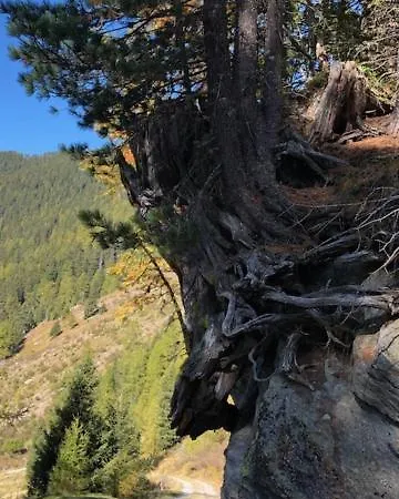 Alpapart - Innsbruck