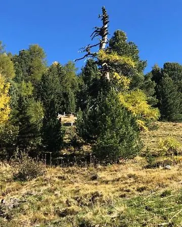 公寓 Alpapart - Innsbruck