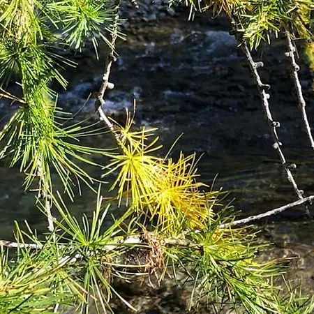 公寓 Alpapart - Innsbruck