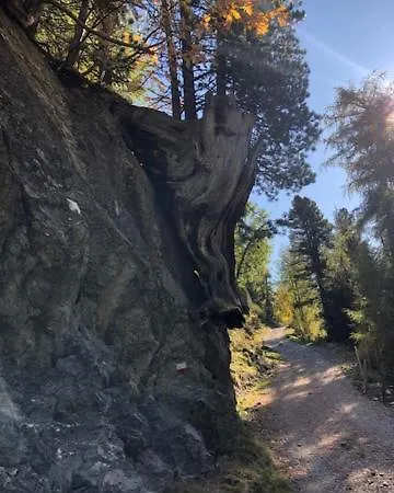 Lejlighed Alpapart - Innsbruck