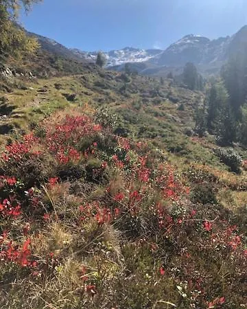 Alpapart - Innsbruck Lejlighed